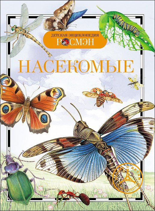 Насекомые