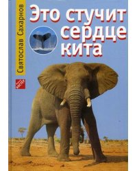 Это стучит сердце кита