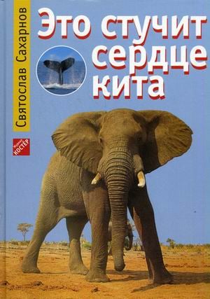 Это стучит сердце кита
