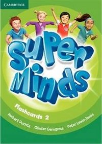 Super Minds 2. Flashcards