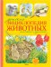 Детская энциклопедия животных. Маленькие и пушистые