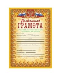 Похвальная грамота за особые успехи в изучении отдельных предметов (с гербом и флагом, текст,рамка оранжевая)