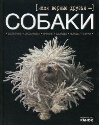 Наши верные друзья - собаки