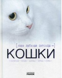 Наши любимые питомцы - кошки
