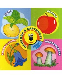 Природа в картинках
