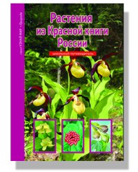 Растения из Красной книги России. Школьный путеводитель