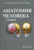 Анатомия человека. Учебник для педагогических вузов. Гриф МО РФ