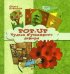 Обложка книги «Pop-up. Чудеса бумажного декора» — Соколова Ольга, ISBN 9785222198995