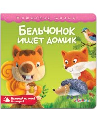 Бельчонок ищет домик