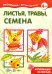 Мастерилка № 7. Листья, травы, семена. Аппликация из листьев