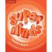 Super Minds 4. Teacher's Book