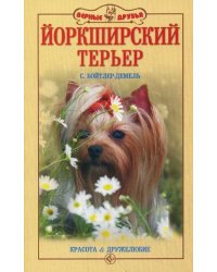 Йоркширский терьер. Красота и дружелюбие