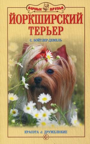 Йоркширский терьер. Красота и дружелюбие