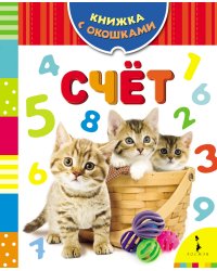 Счет