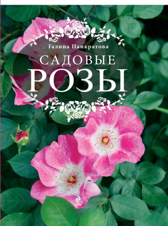Обложка книги «Садовые розы. Большая энциклопедия» — Панкратова Г.М., ISBN 9785699613311