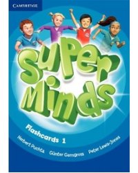 Super Minds 1. Flashcards
