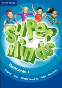 Super Minds 1. Flashcards