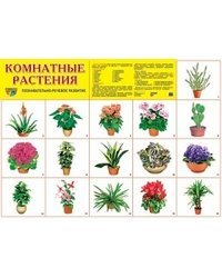 Комнатные растения. Демонстрационный плакат