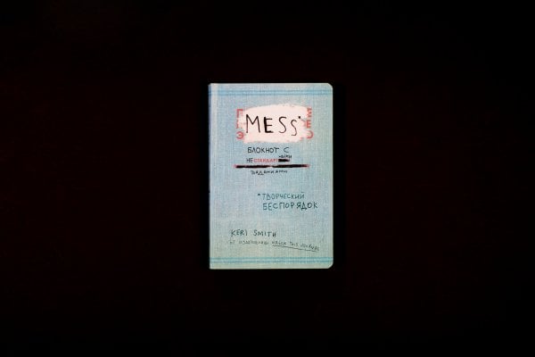 Mess: The Manual of Accidents and Mistakes