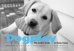 Обложка книги «Dogplay: The Canine Guide to Being Happy» — Levin Kim, ISBN 9781584798279