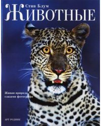 Животные: живая природа глазами фотографа