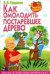 Как омолодить постаревшее дерево