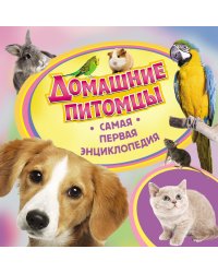 Домашние питомцы