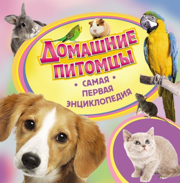 Домашние питомцы