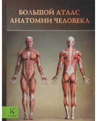 Большой атлас анатомии человека