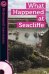 What Happened at Seacliffe (+ Audio CD)