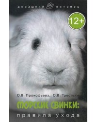 Морские свинки: правила ухода