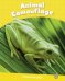 Animal Camouflage