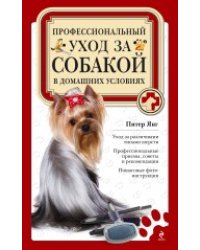 Профессиональный уход за собакой в домашних условиях