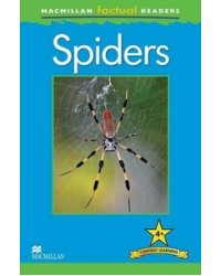 Spiders