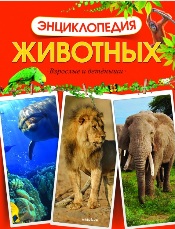 Обложка книги «Энциклопедия животных. Взрослые и детеныши», ISBN 9785389038448