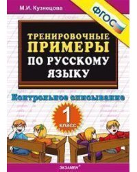 Тренировочные примеры по русскому языку. 1 класс. Контрольное списывание. ФГОС