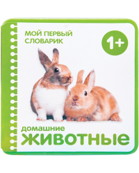 Домашние животные