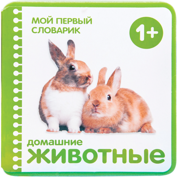 Домашние животные