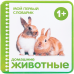 Домашние животные