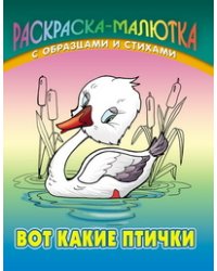 Вот какие птички
