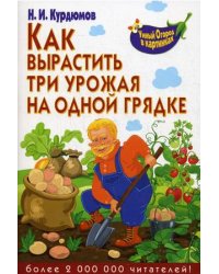 Как вырастить три урожая на одной грядке