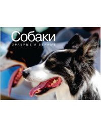 Собаки. Храбрые и верные