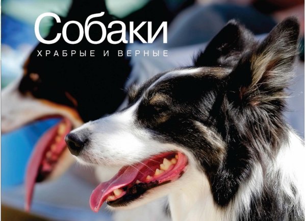 Обложка книги «Собаки. Храбрые и верные» — Хосанг Ф., ISBN 9785389056206