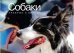 Обложка книги «Собаки. Храбрые и верные» — Хосанг Ф., ISBN 9785389056206