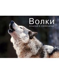 Волки. Хищные и свободные