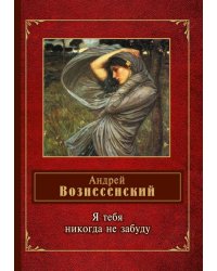 Я тебя никогда не забуду