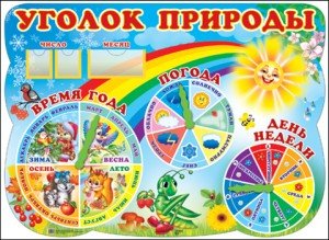 Уголок природы. Стенд