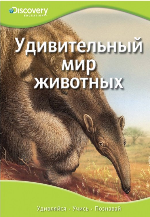 Удивительный мир животных