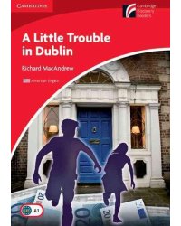 A Little Trouble in Dublin