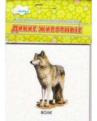 Дикие животные. Учебные карточки